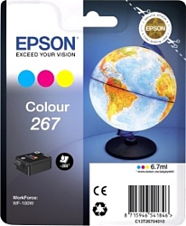 Epson C13T26704010