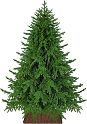 Новогодняя елка Царь Елка Раскидистая премиум РДП-180