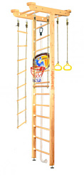 Kampfer Big Sport Ceiling Basketball Shield Высота 3 (без покрытия)