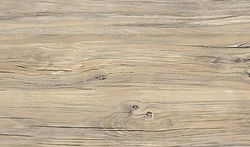 Столешница Горизонт Мебель Asti 26x150 (редондо 7461)