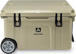 Автомобильный холодильник Арктика 2600-55W-BG 55л (бежевый)