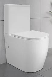 Унитаз Lauter Rimless 21D2202