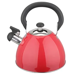 Чайник Webber BE-0584