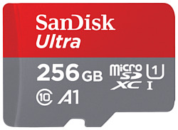 SanDisk SDSQUA4-256G-GN6MN