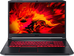 Acer Nitro 5 AN517-53-76GK (NH.QBLER.004)