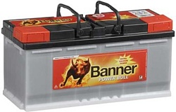 Banner Power Bull PROfessional P10040 (100Ah)