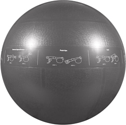 Go Fit Pro Stability Ball 75 см