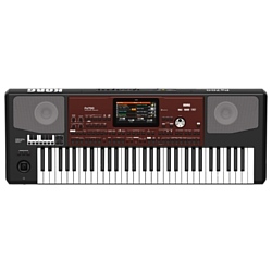 Синтезатор KORG Pa700 Oriental