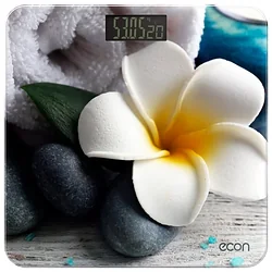 Напольные весы ECON ECO-BS004