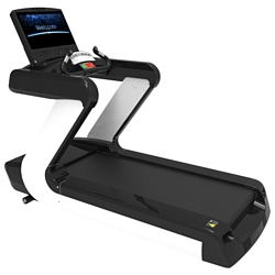 ZGYM PRO 818 LCD