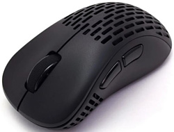 Pulsar Xlite V2 Wireless black