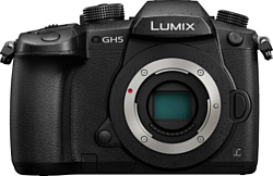 Panasonic Lumix DC-GH5 Kit