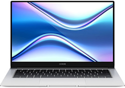 HONOR MagicBook X 14 2023 FRI-F58 5301AFJX