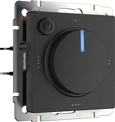 Терморегулятор Werkel W1151108 a051624 (черный матовый)