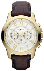 Fossil FS4767