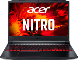 Acer Nitro 5 AN515-55-77U1 (NH.Q7PER.00B)
