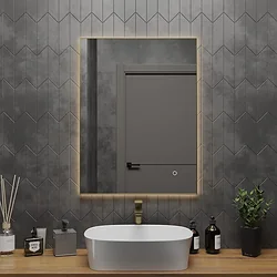 Зеркало Roxen  Frida c подсветкой 510215-60 (60x80) в тонком металлическом профиле в цвете брашированное золото