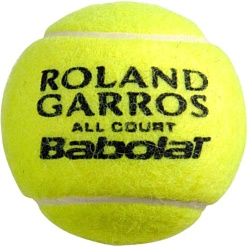 Babolat French Open All Court (502036)