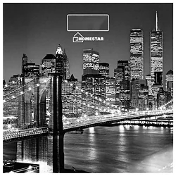 Напольные весы HOMESTAR HS-6001E