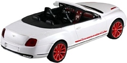 MZ Bentley GT Supersport 1:14 (2049)