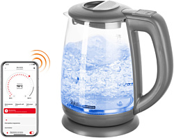 Электрочайник REDMOND SkyKettle G214S