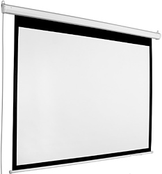 Draper AccuScreens Electric 241x176 (800066)