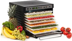 Tribest Sedona Combo Rawfood SD-P9150 (пластиковые лотки) Tribest Sedona Combo Rawfood SD-P9150 (пластиковые лотки)