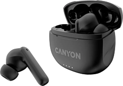 Canyon TWS-8