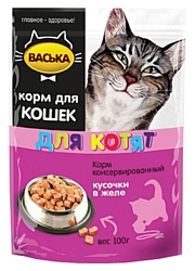 Васька Кусочки в желе для Котят (0.1 кг) 1 шт.