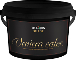 Ticiana Veniera Calce Венецианская на извести (900 мл)