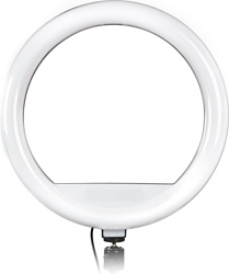 Фотовспышка SmartBuy SBL-TTL-12