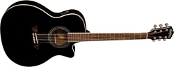 Washburn WCG18CEB