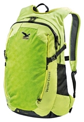 Salewa Vector Cross 24 green