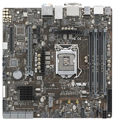 ASUS P10S-M WS