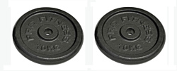 Pro fitness Cast Iron Discs - 2 x 10kg