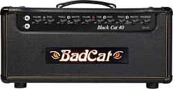 Bad Cat Black Cat 40