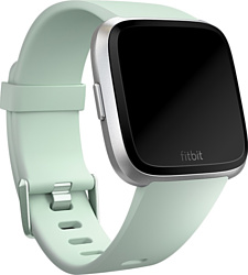 Fitbit классический для Fitbit Versa (L, мятный)