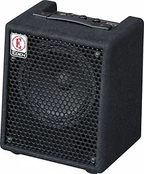 Гитарный комбоусилитель EDEN EC8 Гитарный комбоусилитель EDEN EC8
