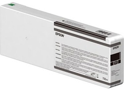 Epson C13T804700