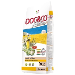 Adragna (3 кг) Dog&Co Wellness Adult chicken & rice