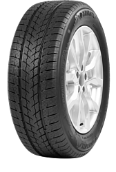 Davanti Wintoura SUV 225/65 R17 106H