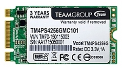 Team Group TM4PS4 256GB