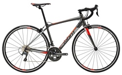 Giant Contend SL 2 (2018)