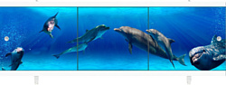 Метакам Ультралёгкий АРТ 148 (дельфины)
