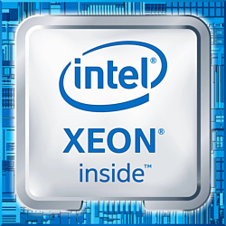 Intel Xeon W-1290 (BOX)