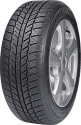 Evergreen EW62 185/65 R15 92T XL