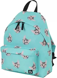 Городской рюкзак BRAUBERG Cats 229881