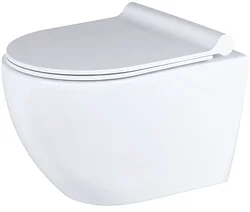 Унитаз Uptrend Caneo Rimless TR2196DF (с сиденьем) Унитаз Uptrend Caneo Rimless TR2196DF (с сиденьем)