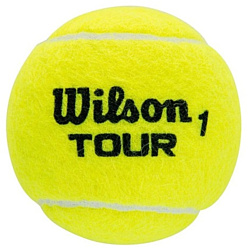 Wilson Tour All Court WRT115700 (4 шт)