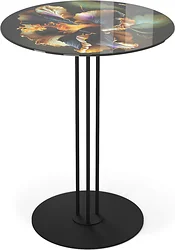 Журнальный столик Sheffilton SHT-CT55/H43 (ночной цветок/черный муар)